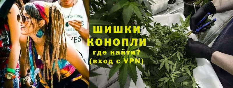 Бошки Шишки OG Kush  Каменногорск 